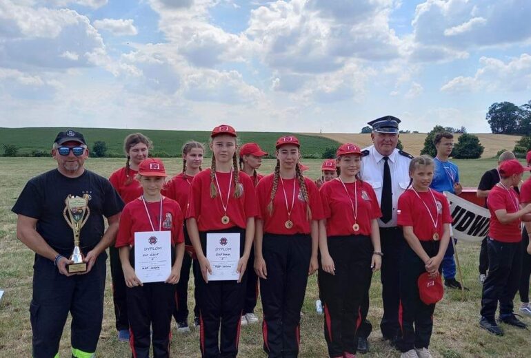 Zdjęcie nr 1 Młodzieżowa Drużyna Pożarnicza w Goli 