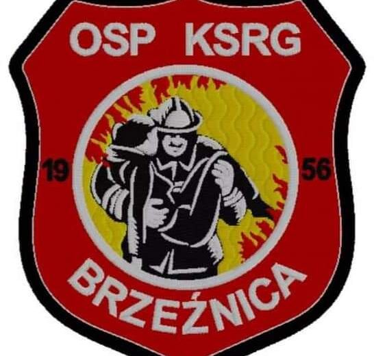 Dziecięca Drużyna Pożarnicza i Młodzieżowa Drużyny Pożarnicza w Brzeźnicy