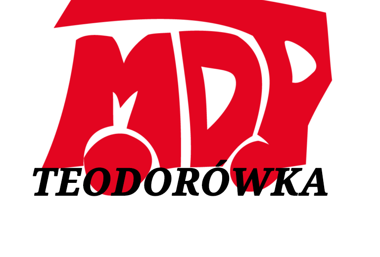 Młodzieżowa Drużyna Pożarnicza w Teodorówce