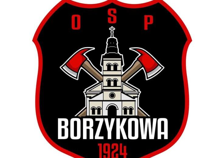 Młodzieżowa Drużyna Pożarnicza w Borzykowie