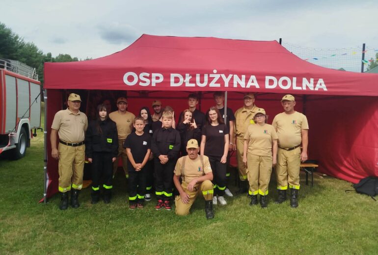Zdjęcie nr 1 Młodzieżowa Drużyna Pożarnicza w Dłużynie Dolnej 